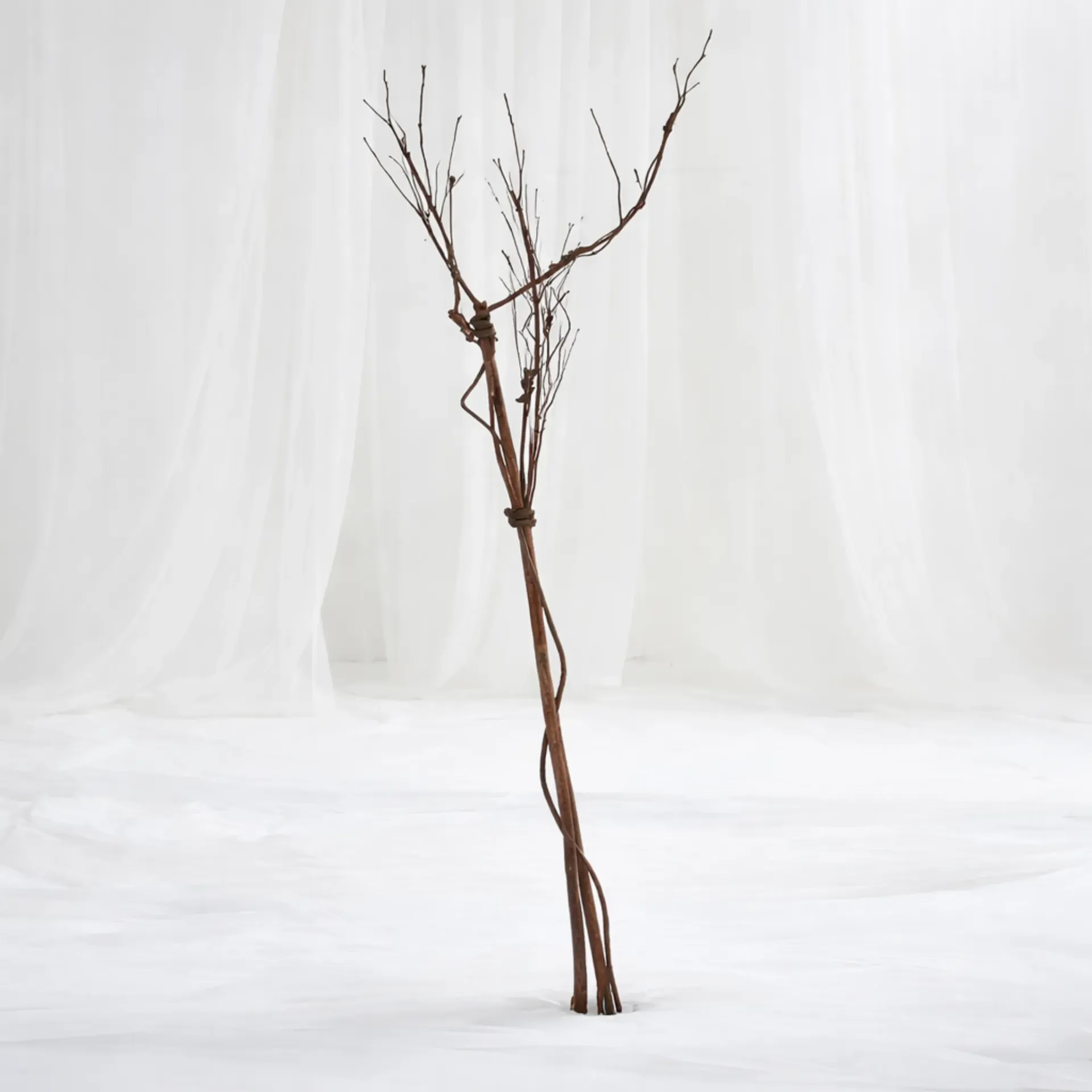 Decorative Natural Dry Branch Stems