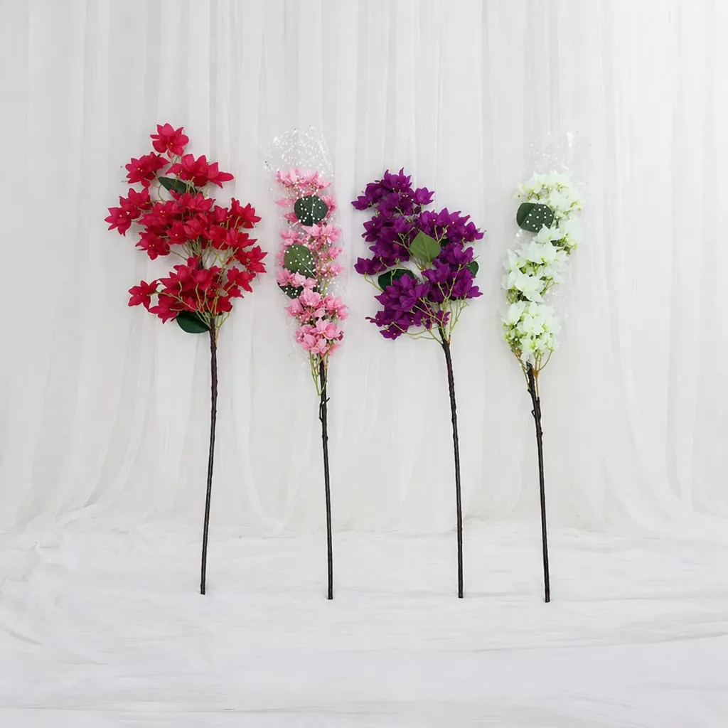 Bougainvillea  Flower Stems