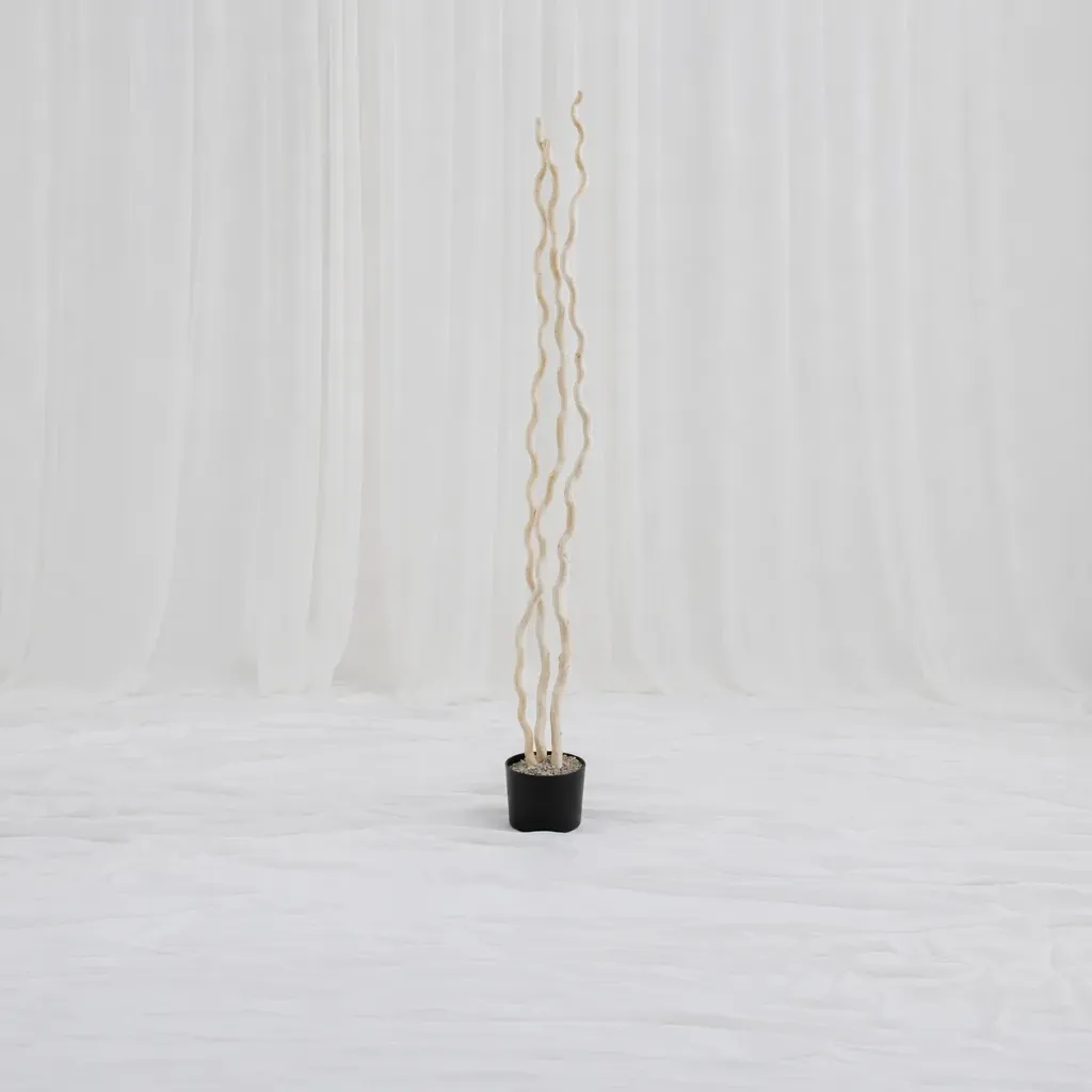 Dried Stem