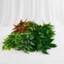 Tropical Foliage & Chili Spray