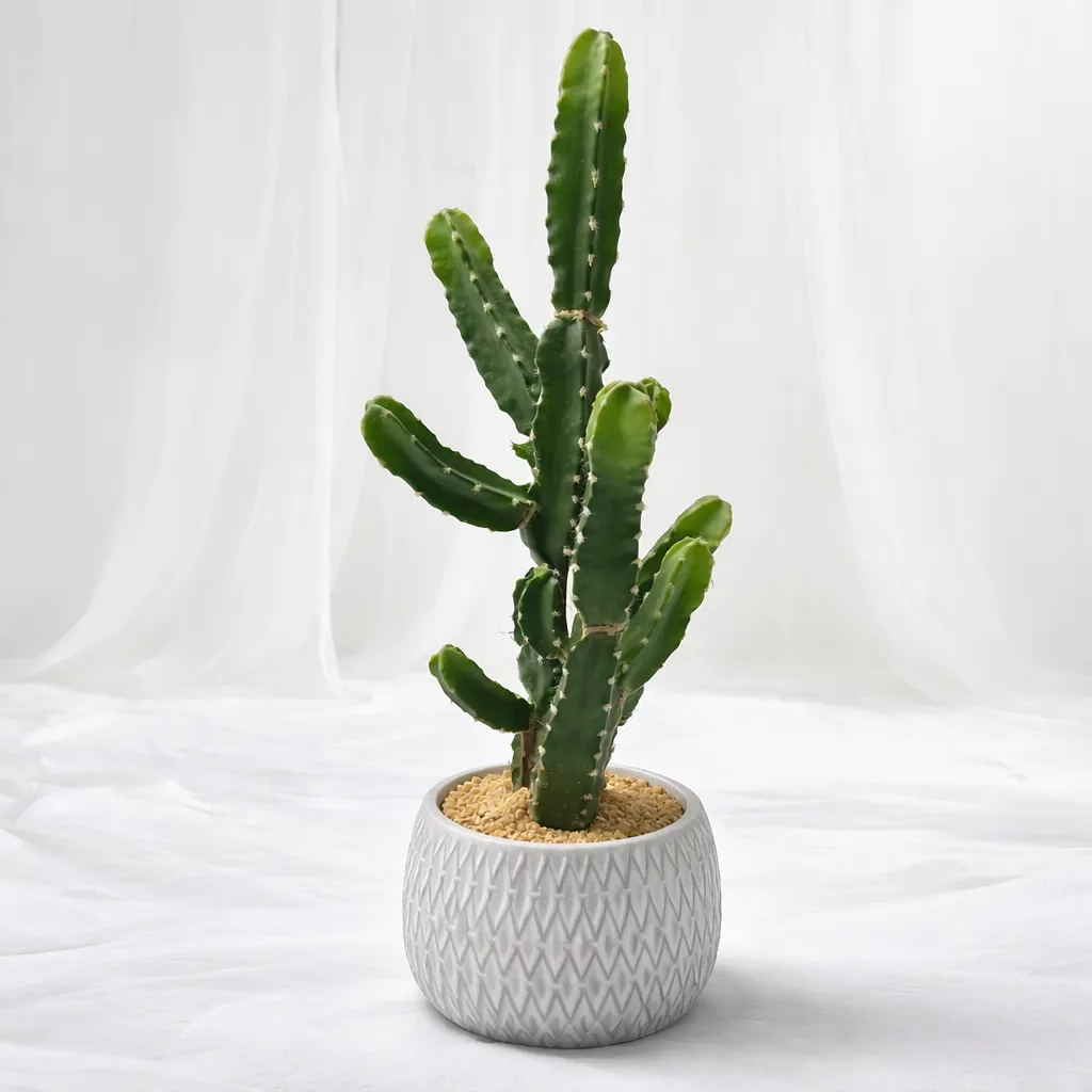 Desert Spine Cactus Pot