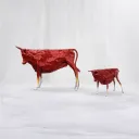 Crimson Motion