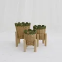 Elevated Wooden Planter Stand