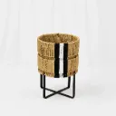 Luna Cane Planter