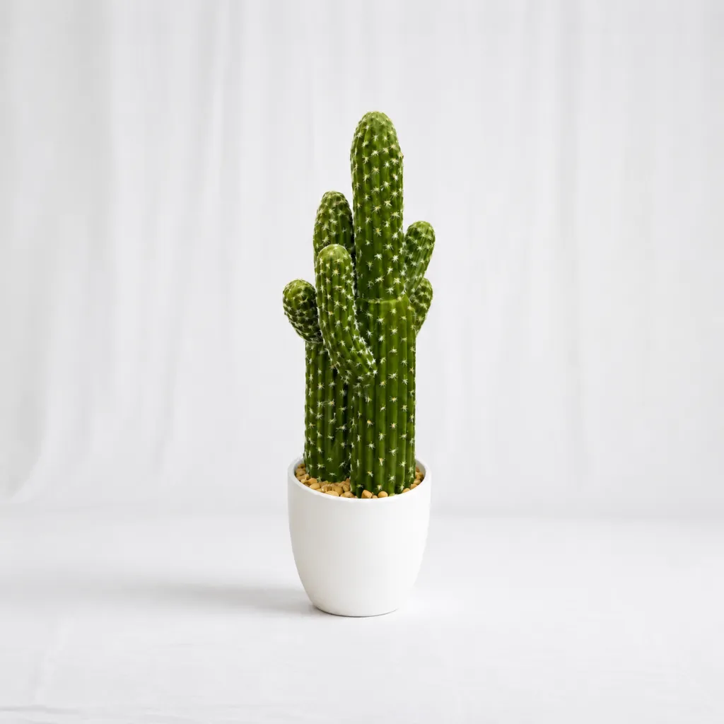Saguaro Grande