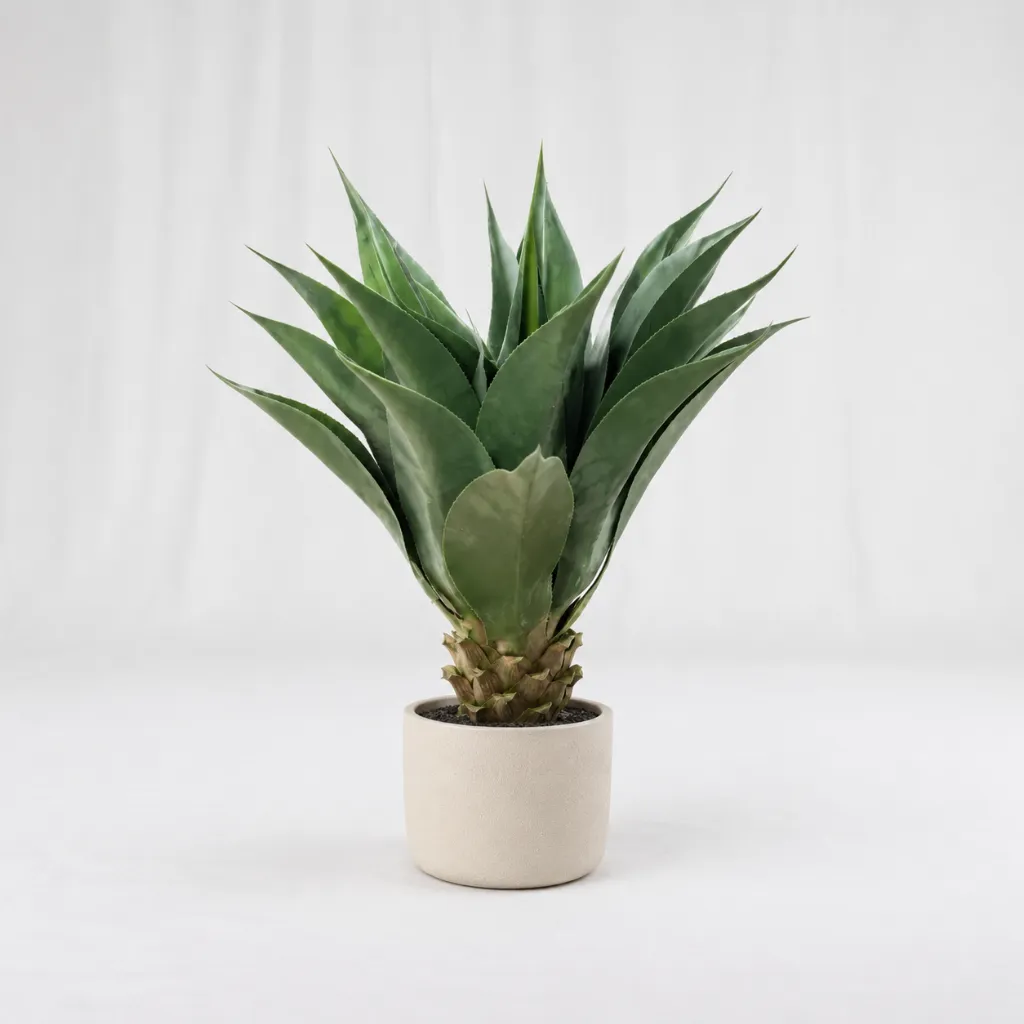 Sculpted Agave